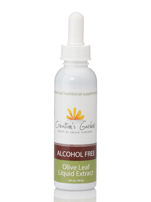 Olive Leaf  Liquid Extract (Olajfalevél-kivonat folyadék)