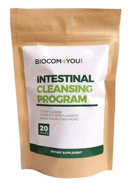 Béltisztító Program